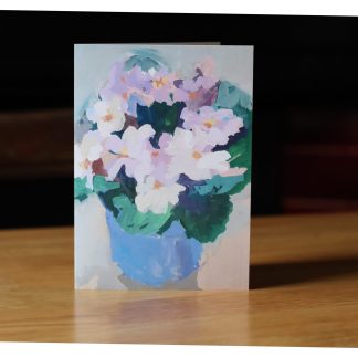 February Flowers - Primulas