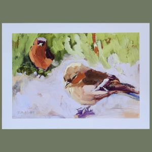 Male and female Chaffinches